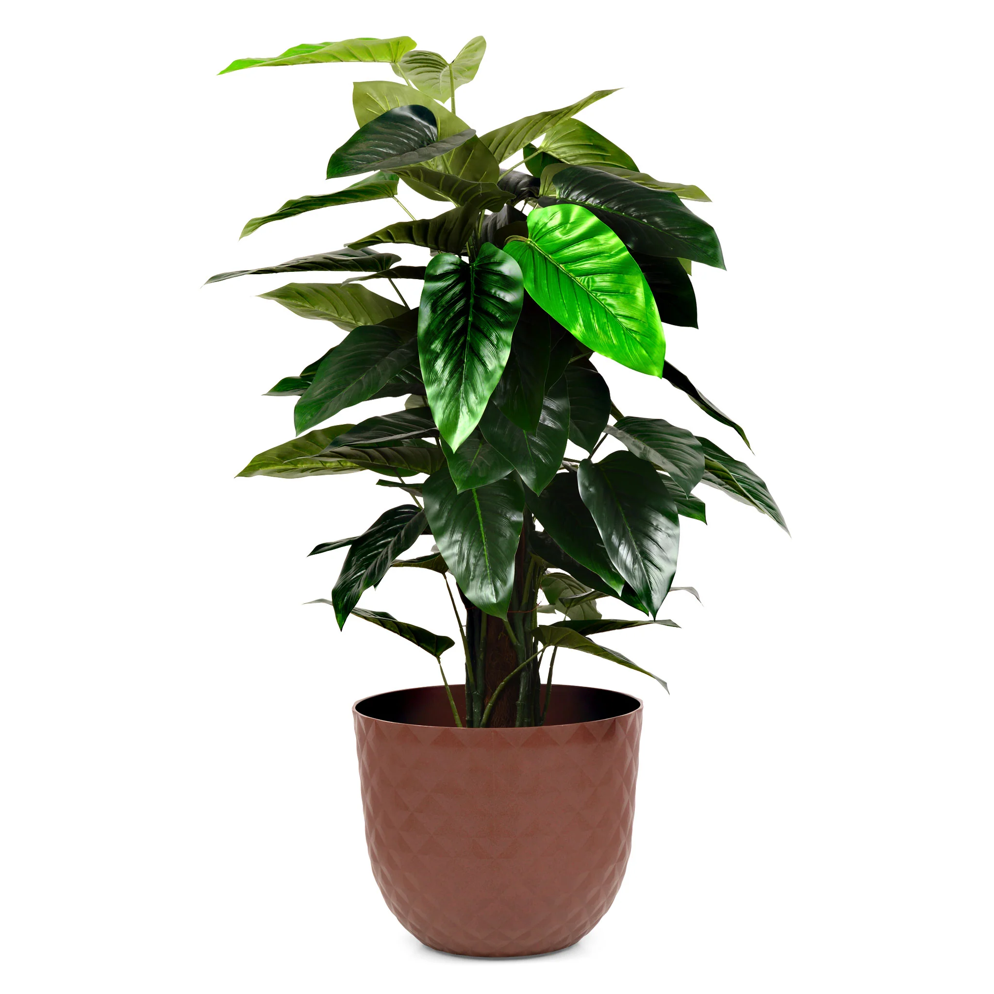 HAVANA Ghiveci, D.40cm - Image 6