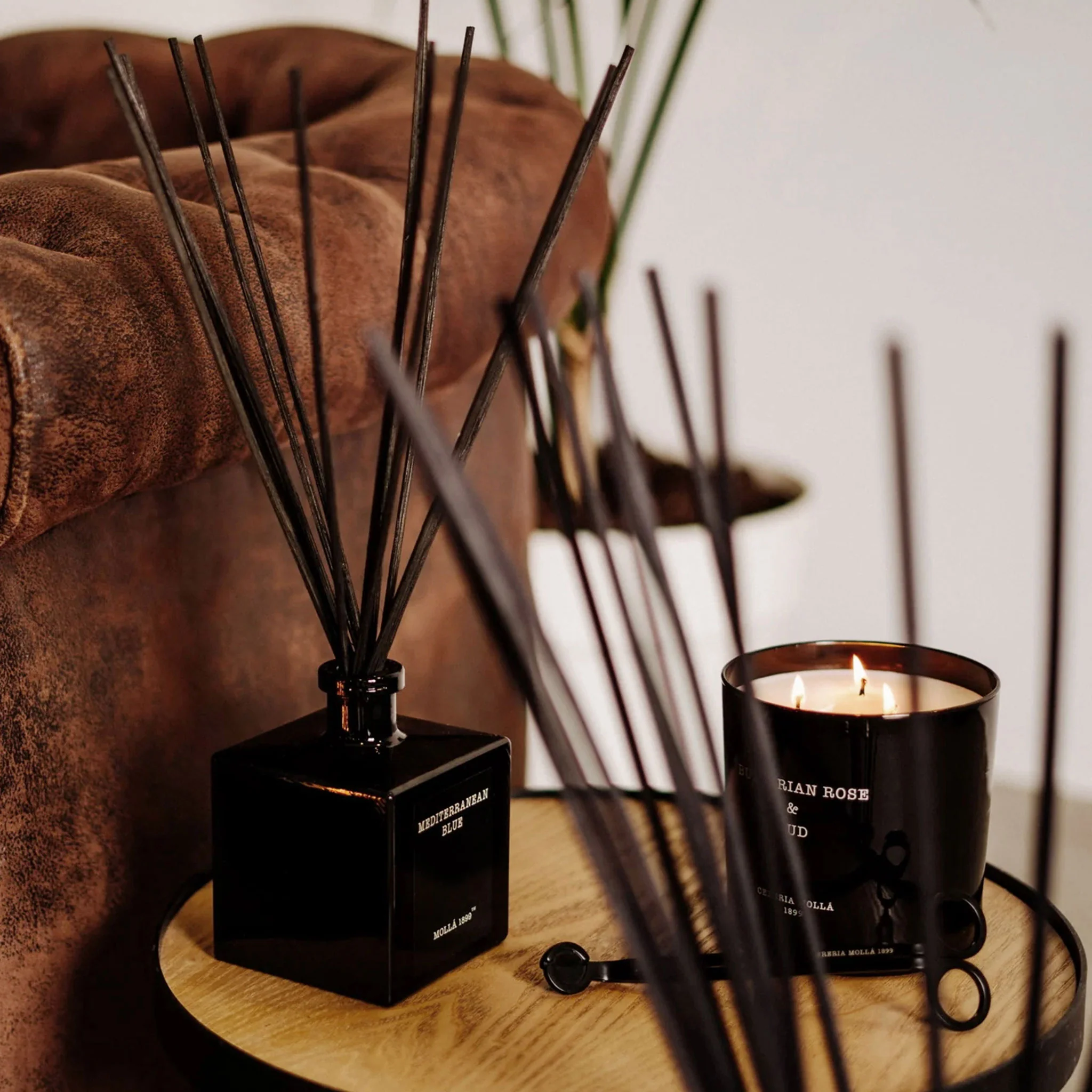 CERERIA MOLLA Difuzor parfum cameră - Image 4