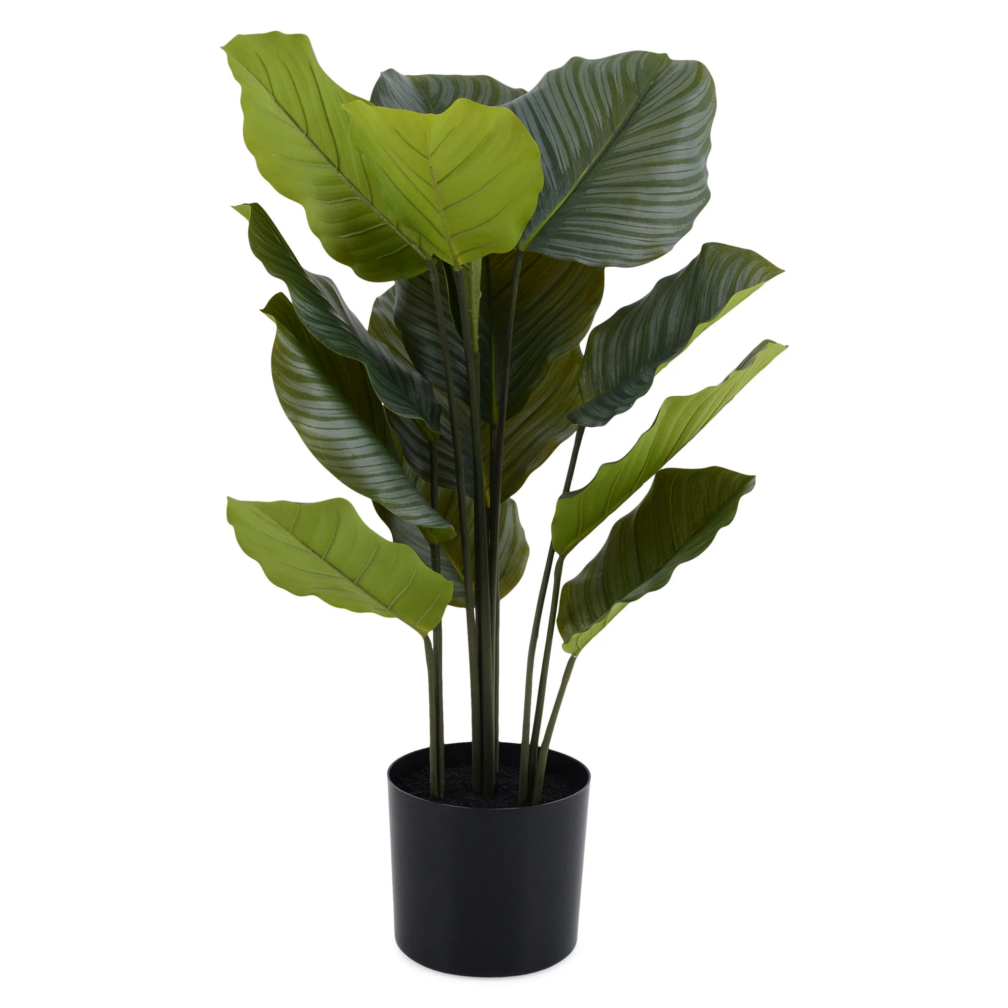 ROHDEA Plantă artificială în ghiveci