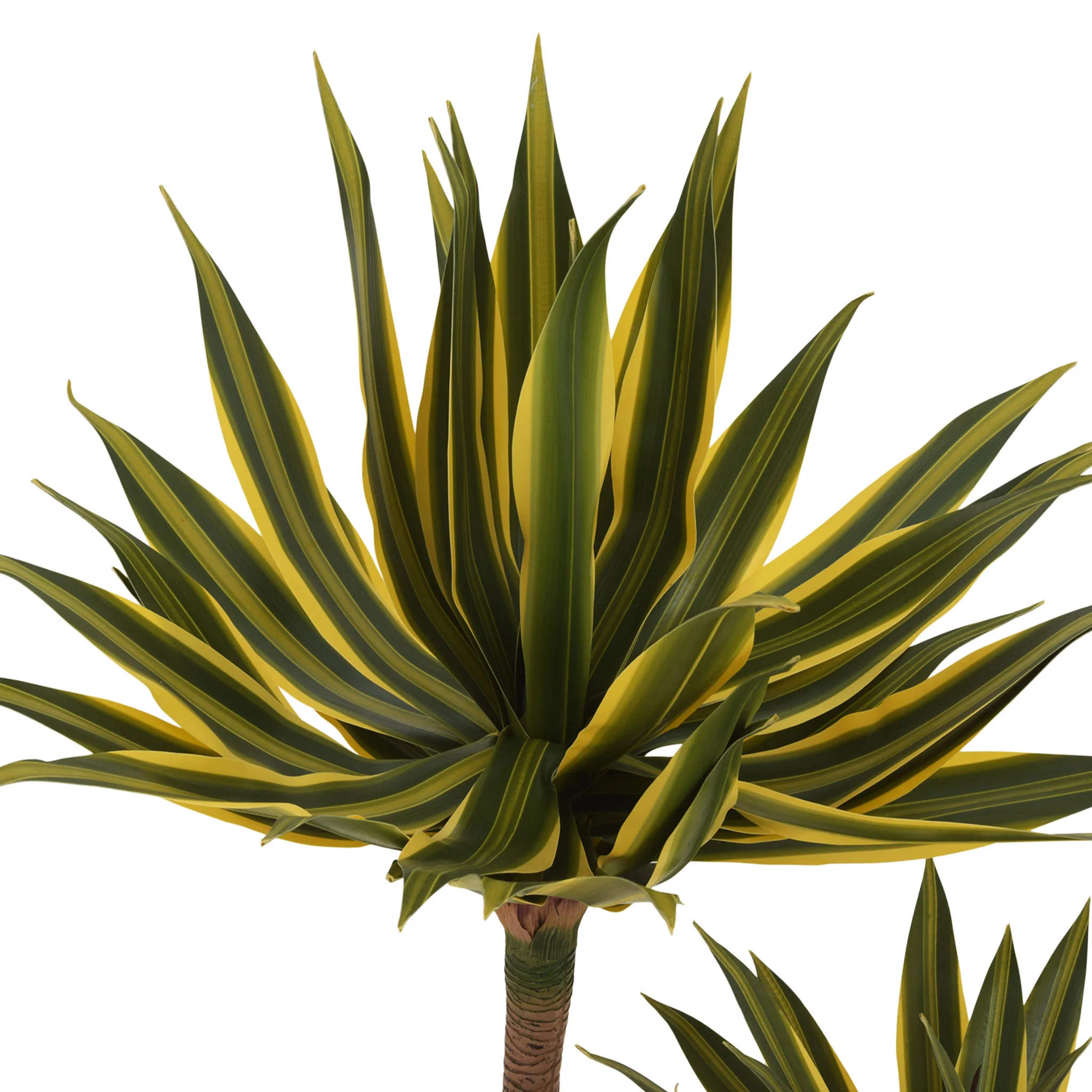 AGAVE Plantă artificială în ghiveci - Image 2
