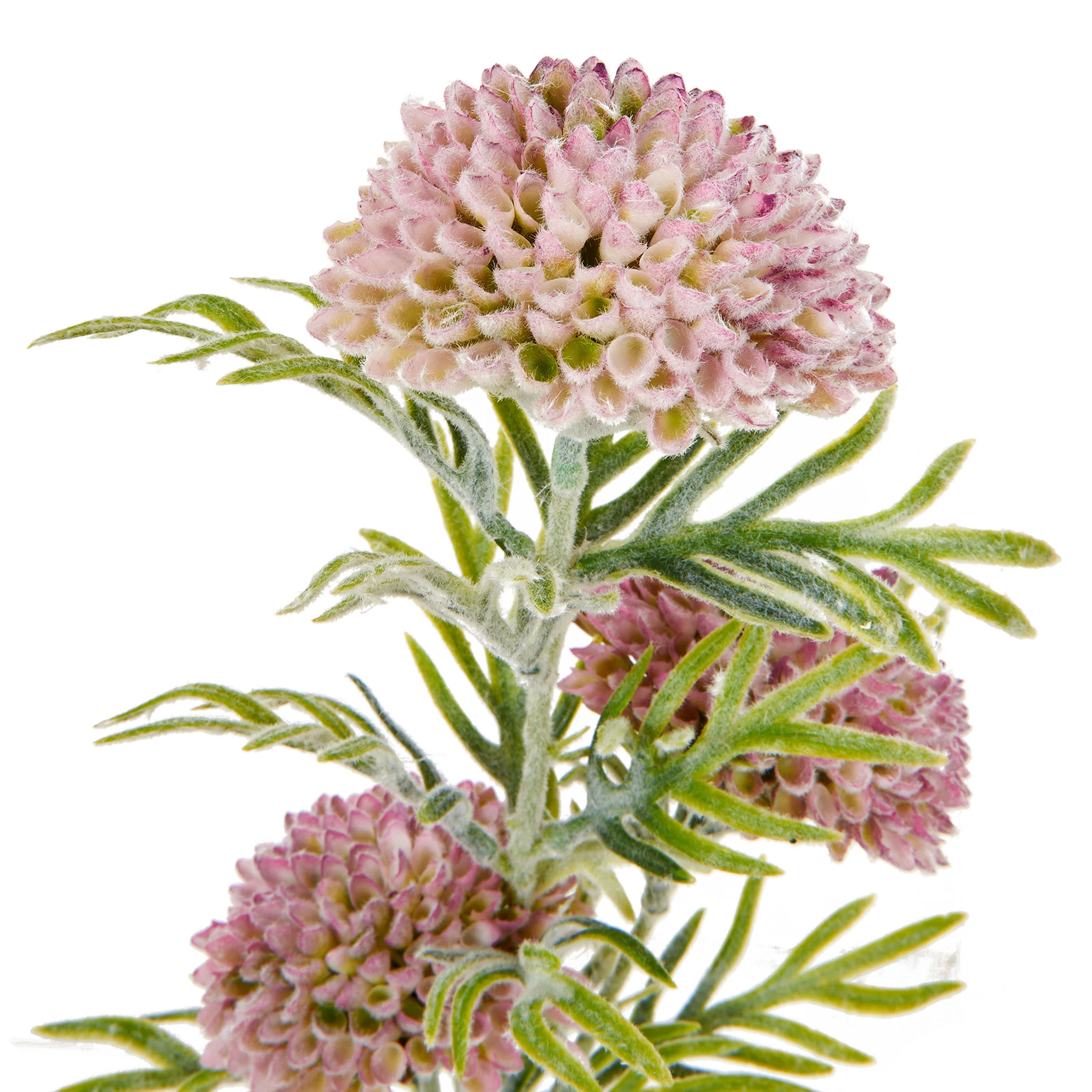 ZINNIA Floare artificială - Image 3