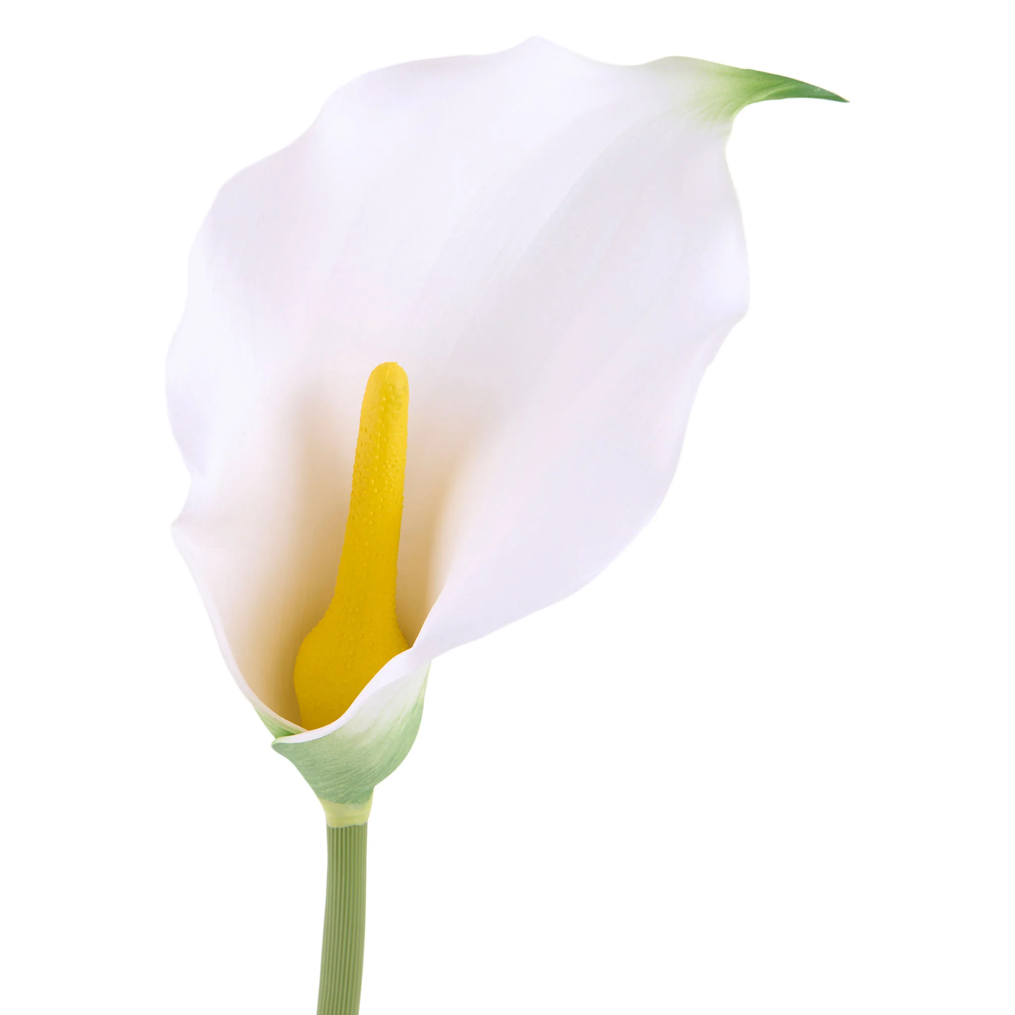 CALLA LILY Floare artificială - Image 2