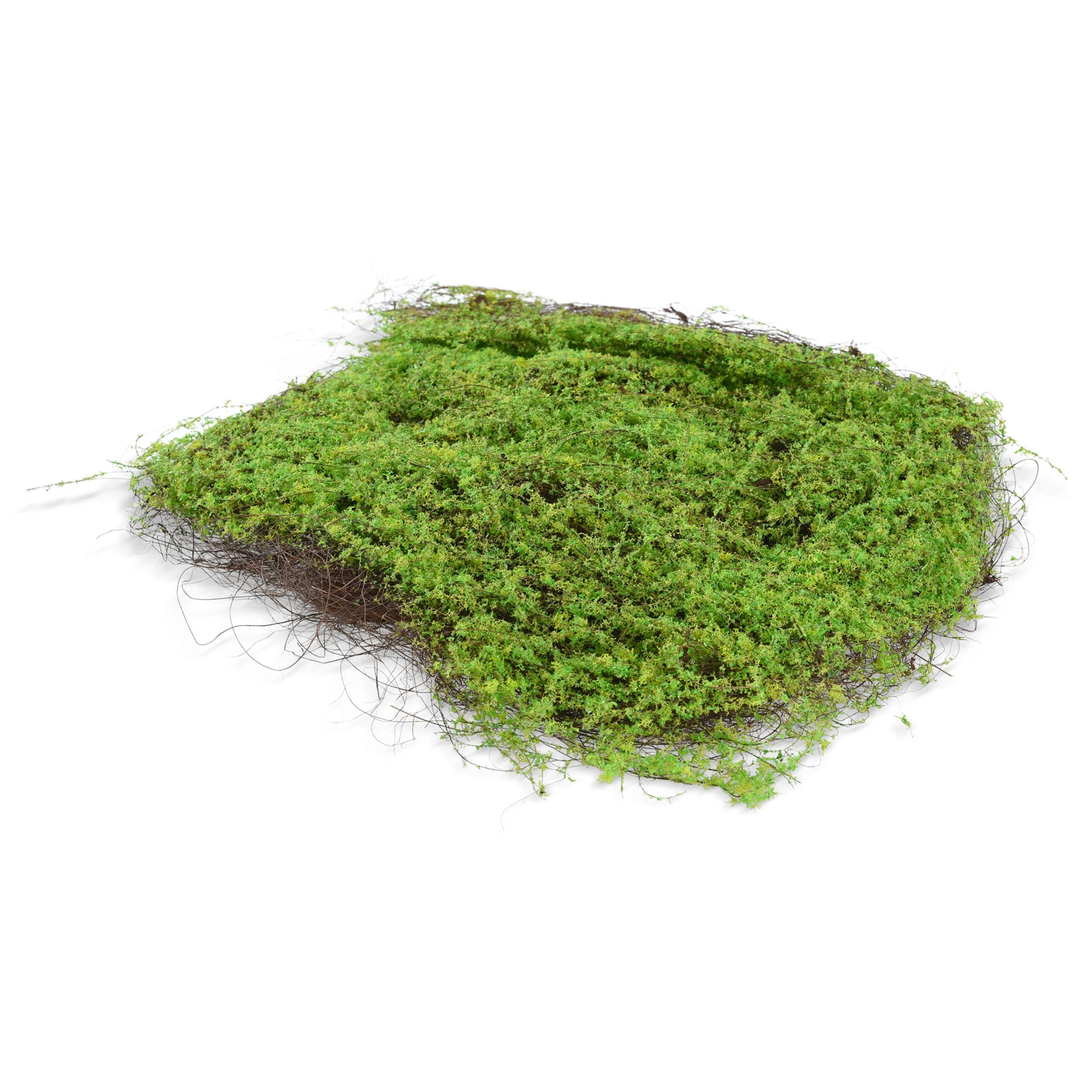 MOSS ZOLLA Mușchi artificial - Image 2