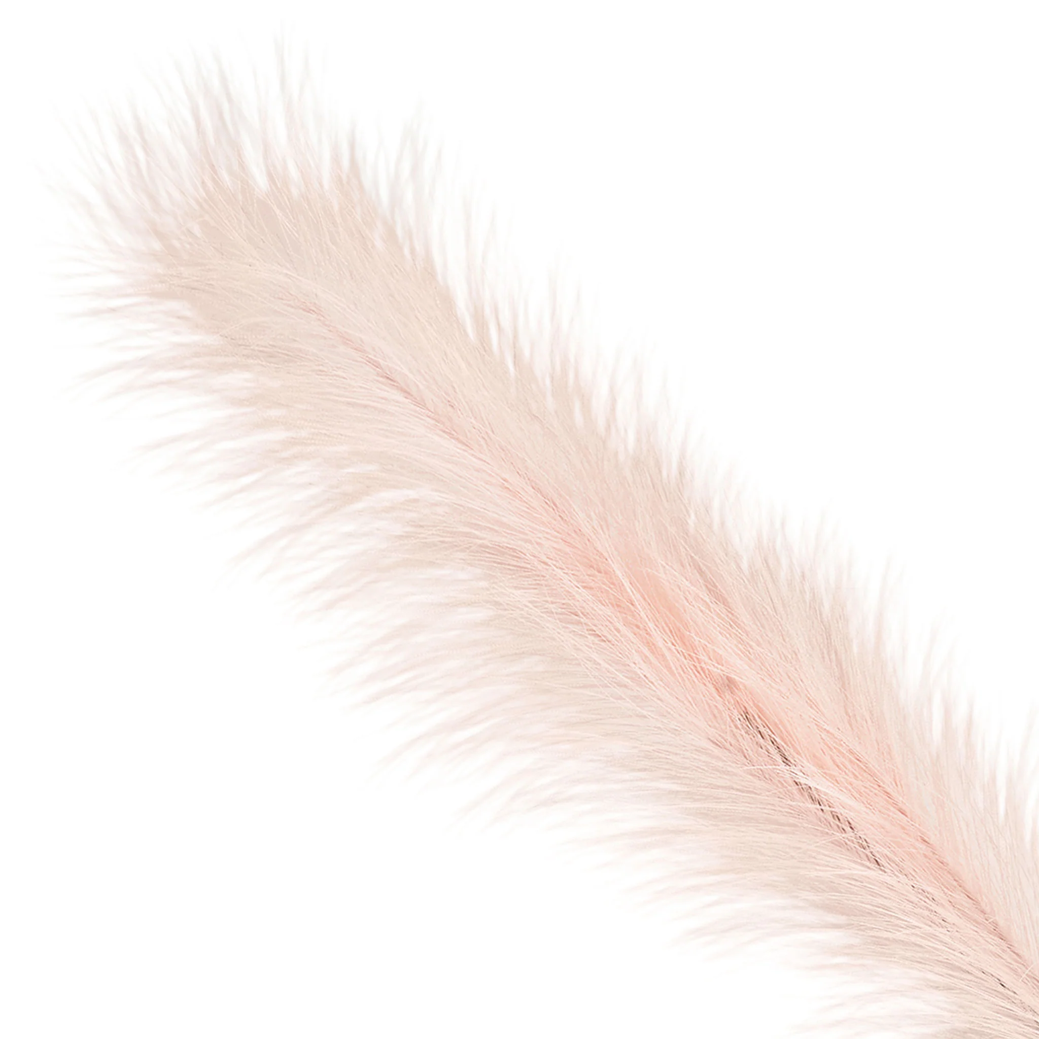 PAMPAS Crenguță artificială - Image 5