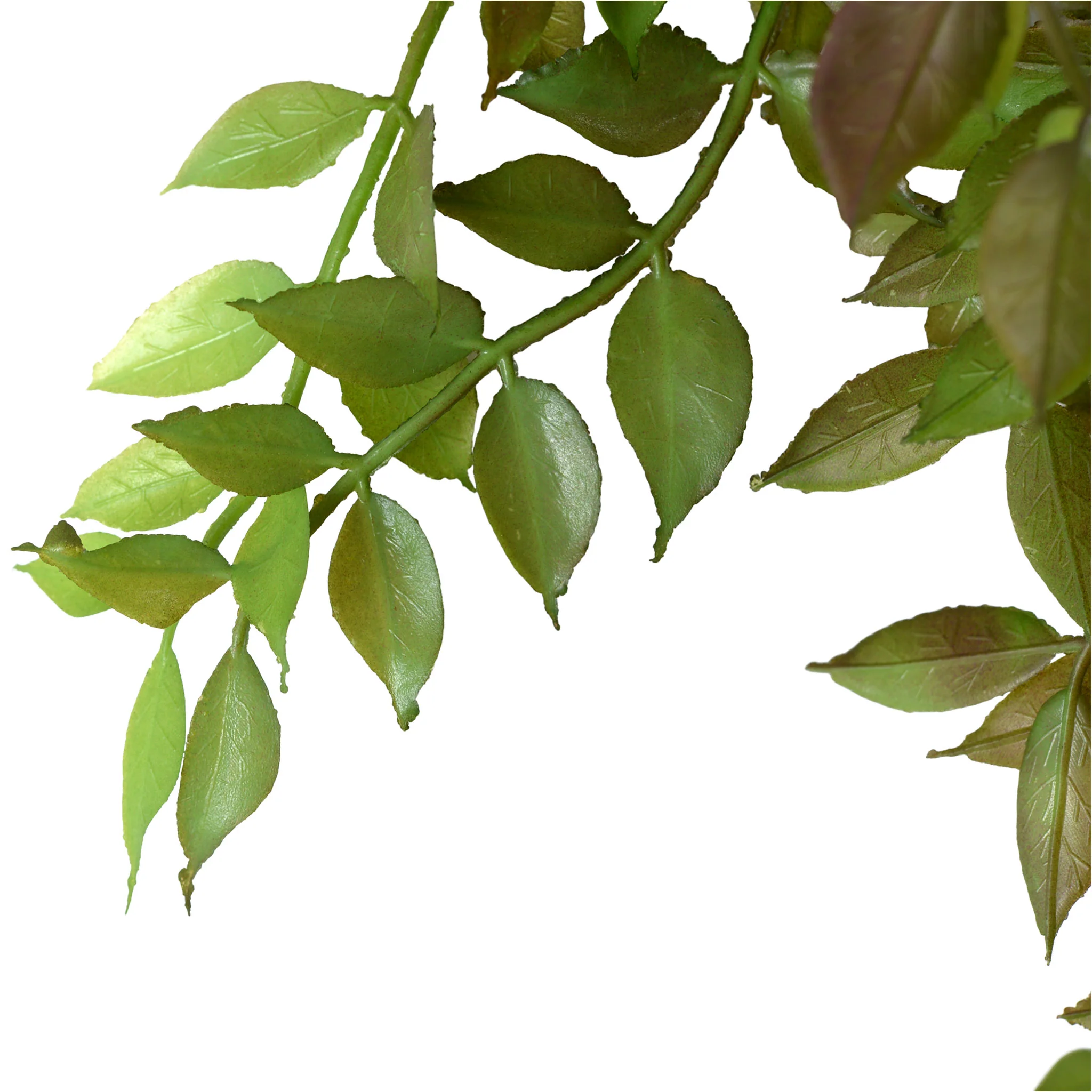 GRASS Plantă artificială - Image 2