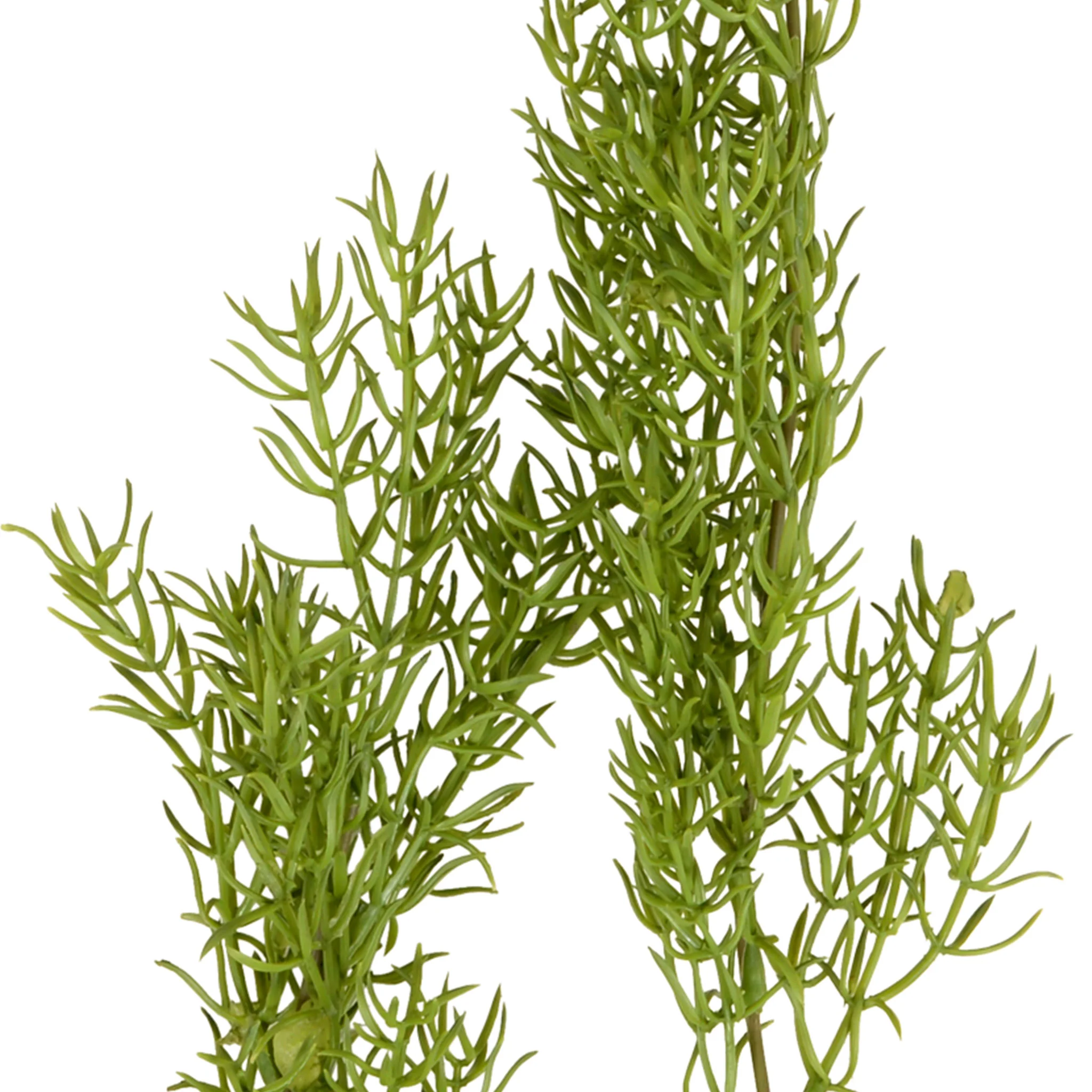 SEA GRASS Plantă artificială - Image 2