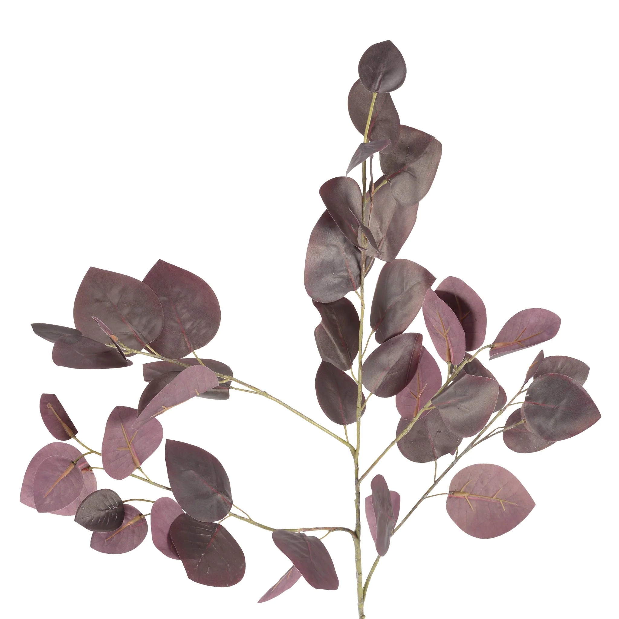 EUCALIPT Plantă artificială - Image 8