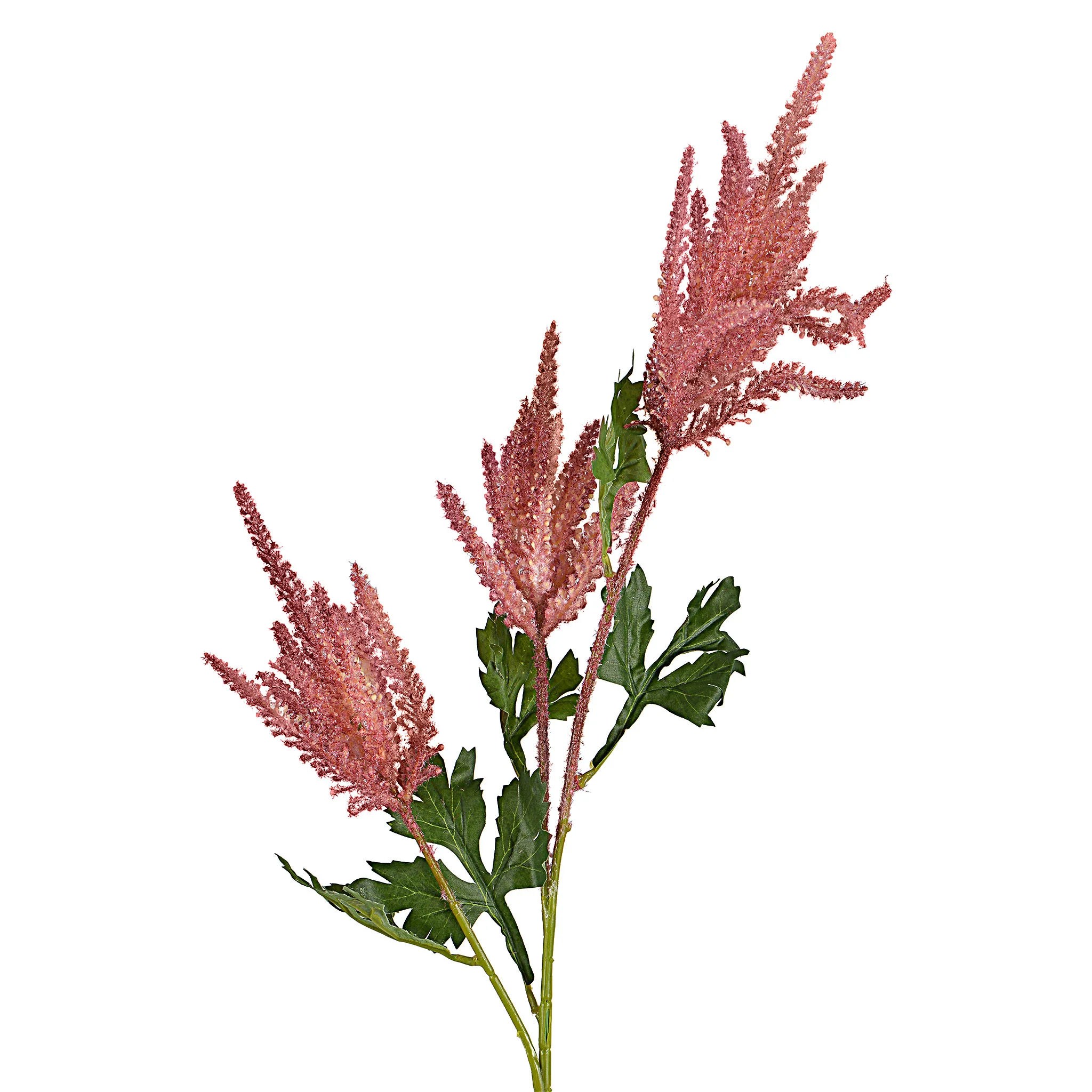 ASTER Floare artifcială - Image 3