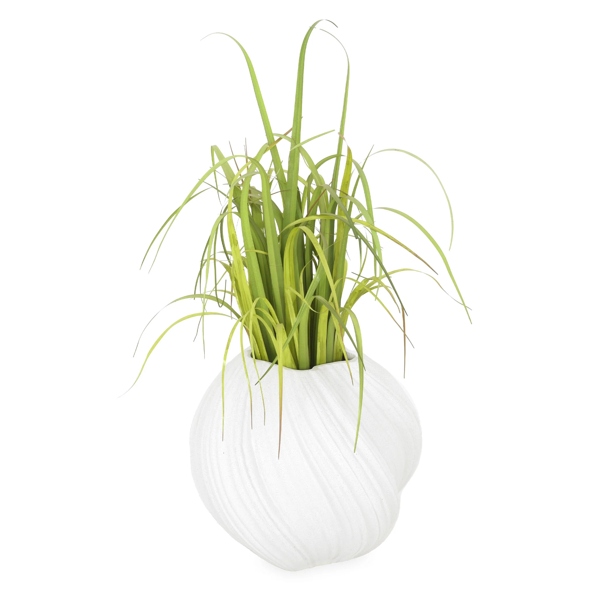 MOHO Vas decorativ ghiveci - Image 2