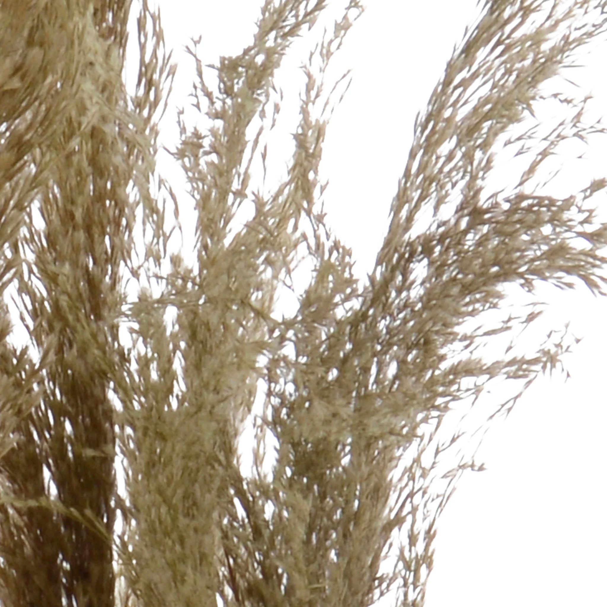 PAMPAS Plantă artificială în ghiveci - Image 2