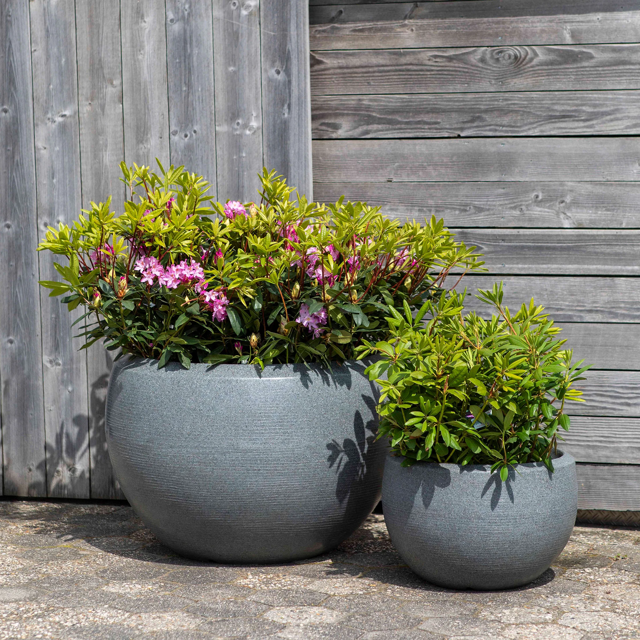 XXL Vas decorativ ghiveci - Image 11