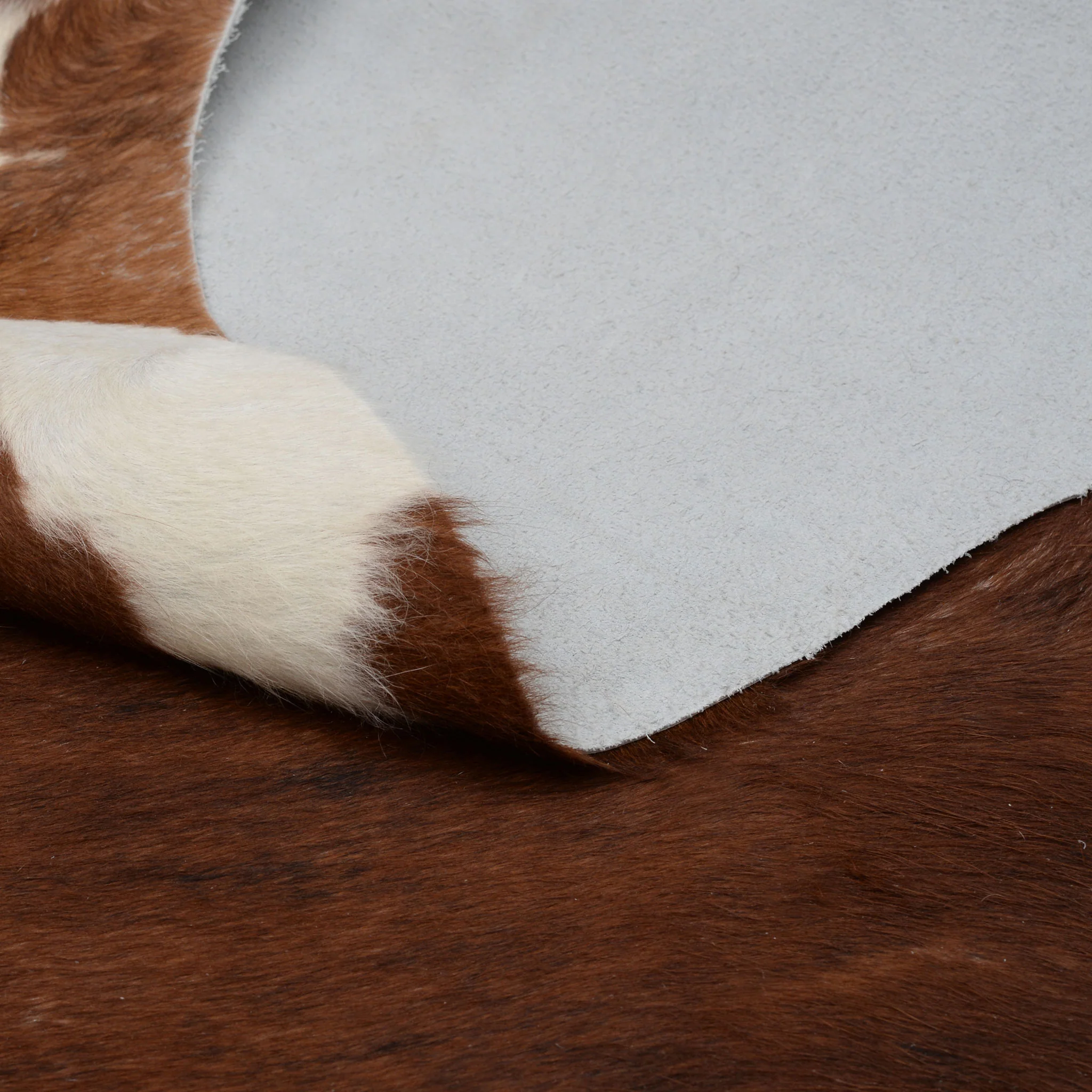 COW HIDE111 Covor cameră - Image 2