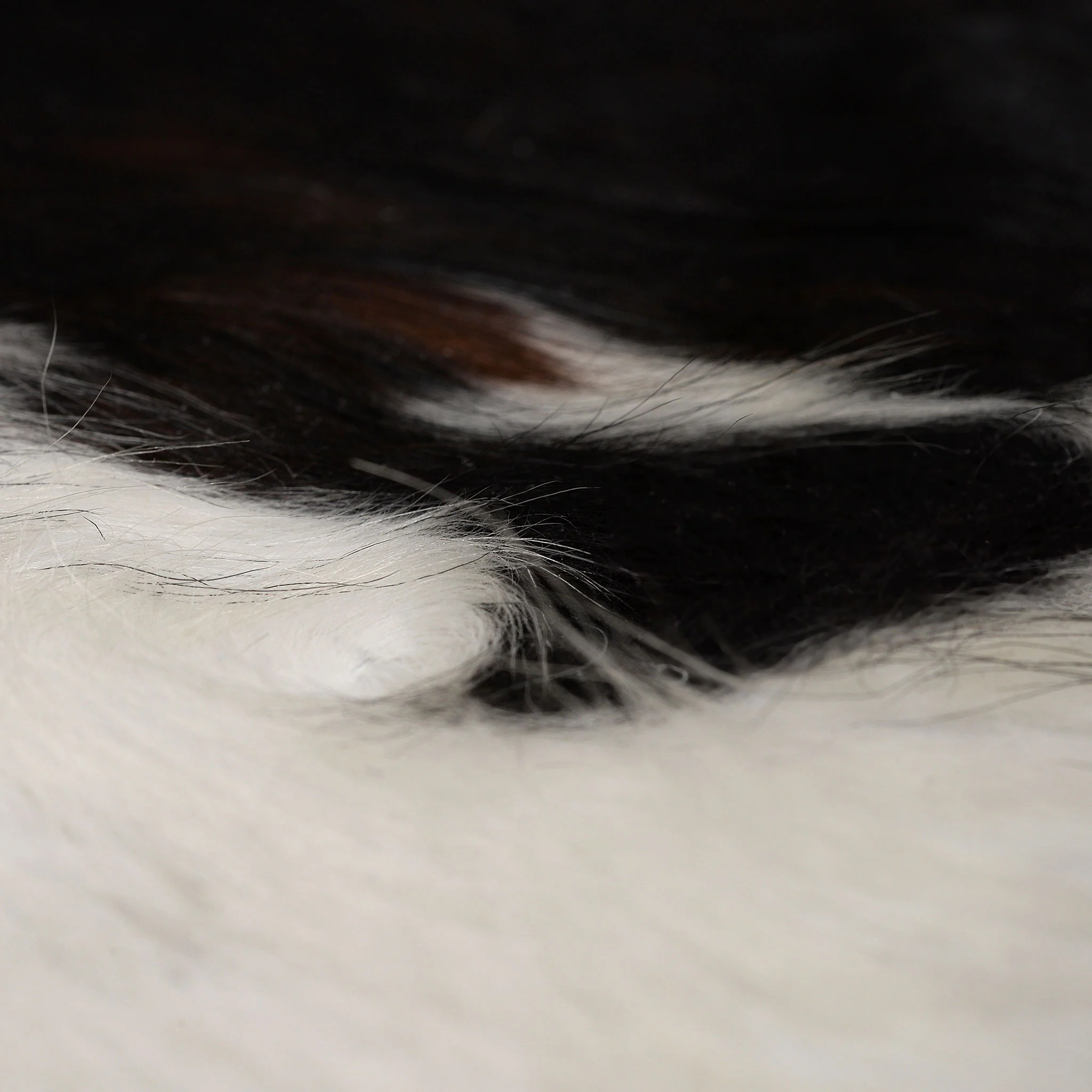 COW HIDE44 Covor cameră - Image 3
