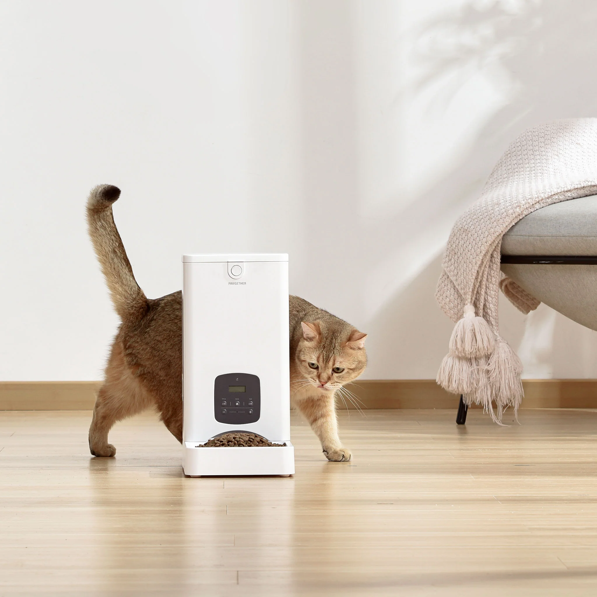 PAWGETHER Dispenser hrană - Image 2