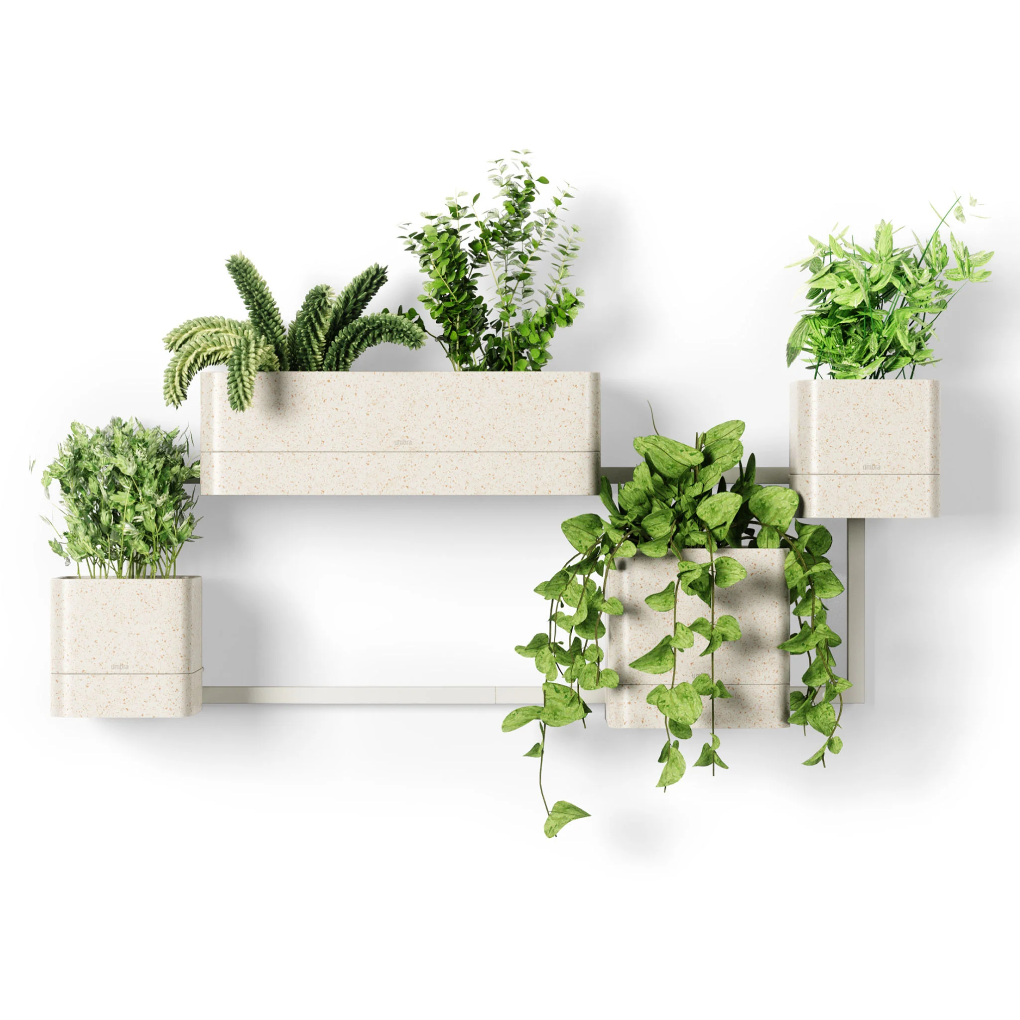 CUBIKO Suport ghiveci pentru perete - Image 4