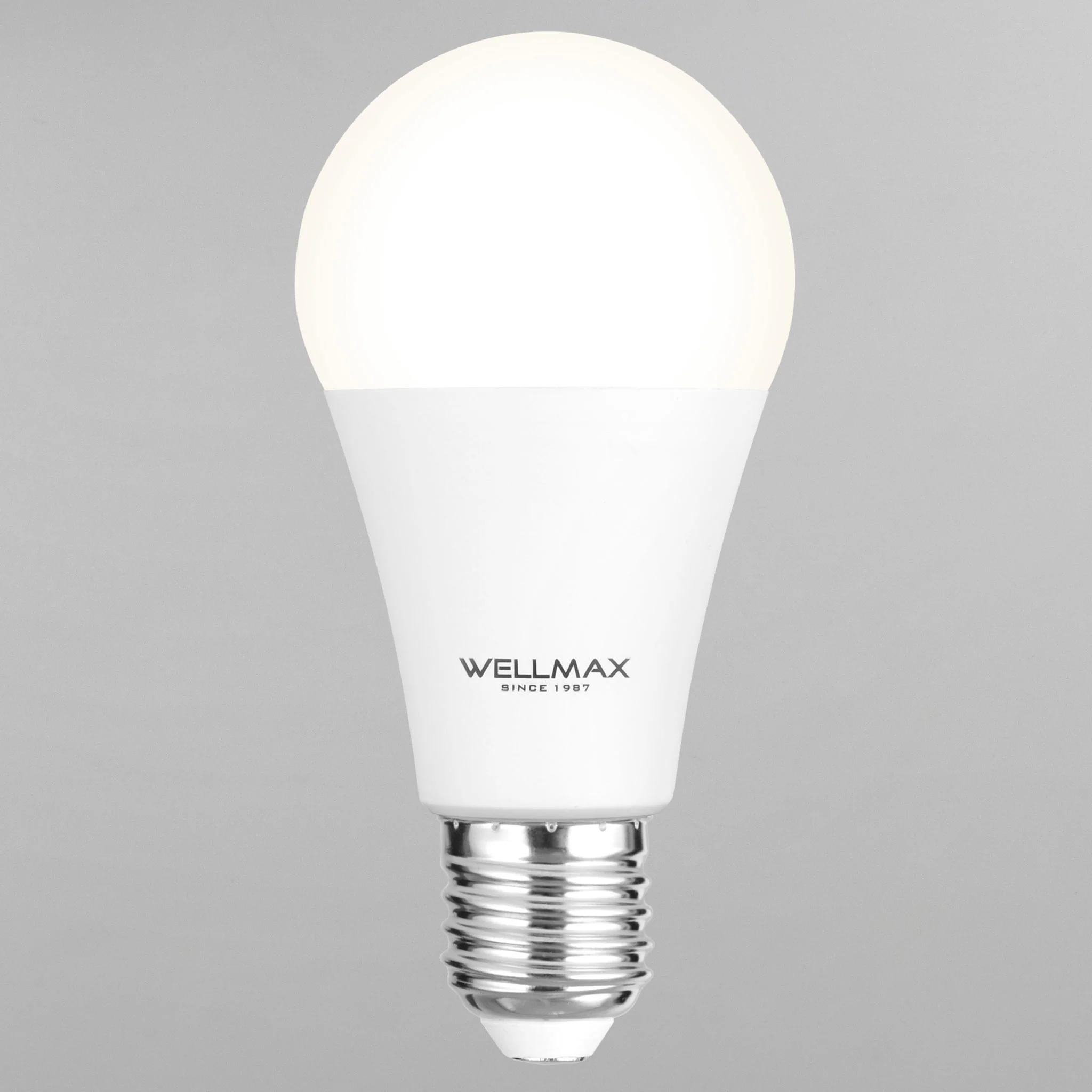 WELLMAX Bec LED 15W E27 - Image 2