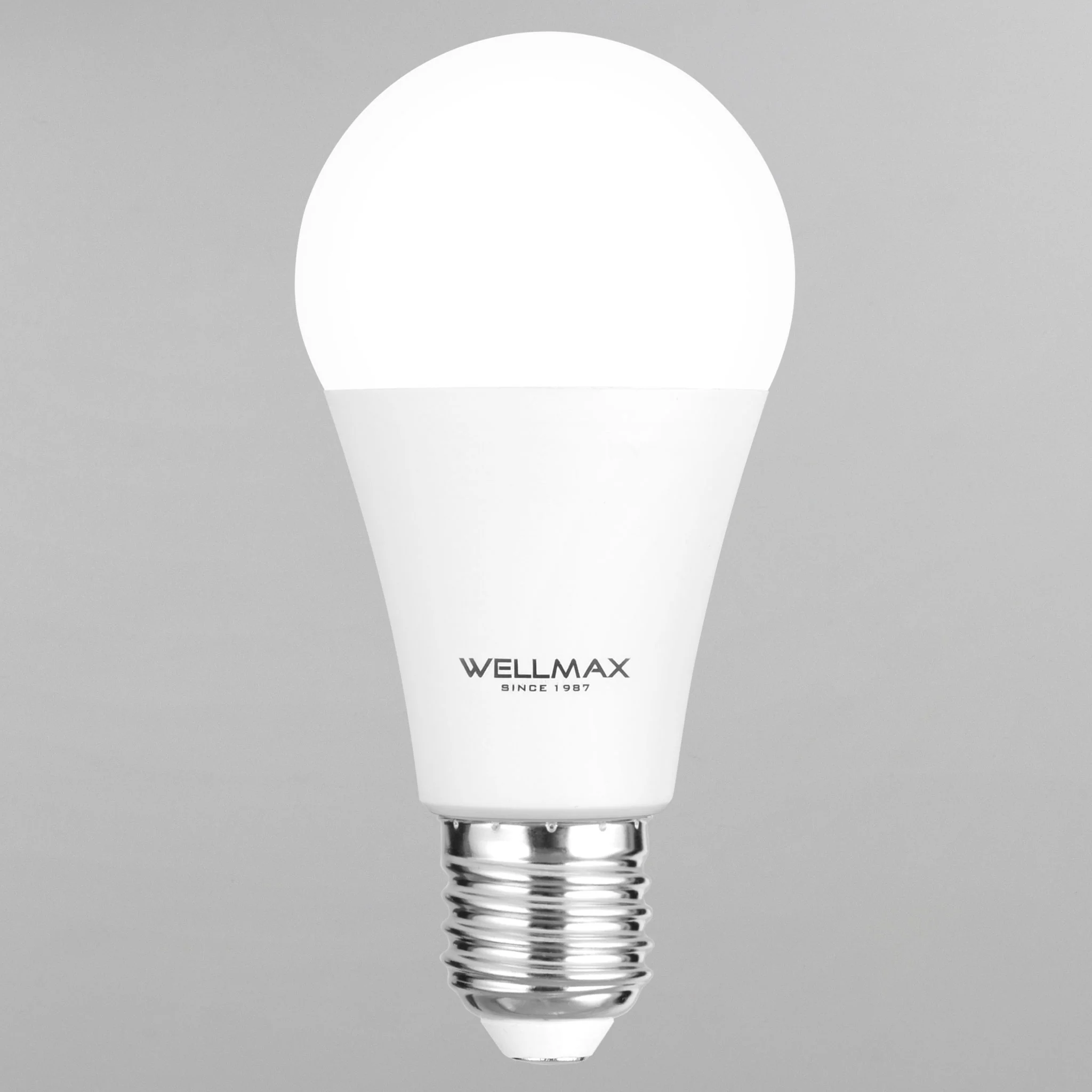 WELLMAX Bec LED 15W E27 - Image 6