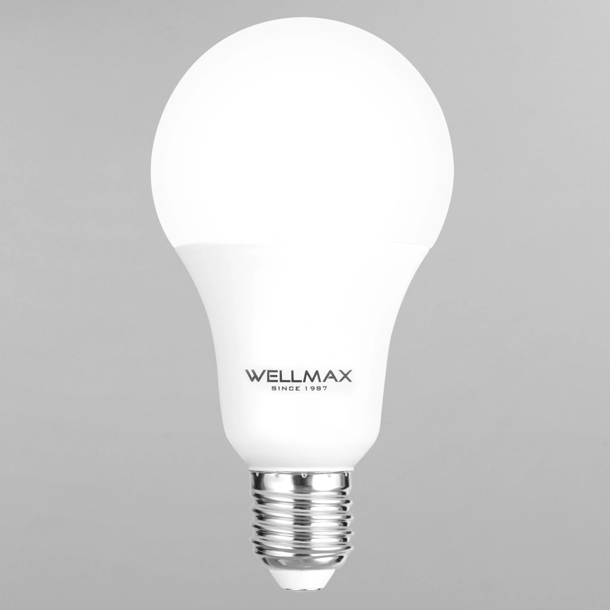 WELLMAX Bec LED 18W E27 - Image 6